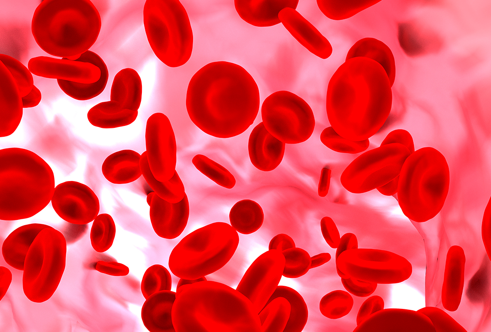 Análisis de colesterol en sangre